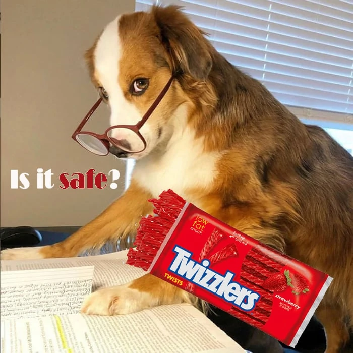 Can My Dog Eat Twizzlers
