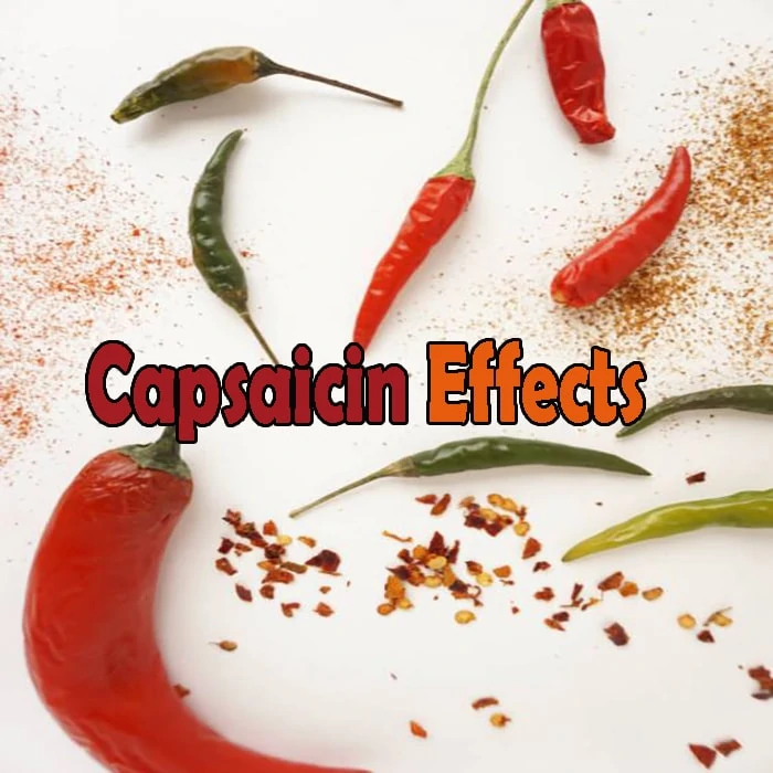 Capsaicin’s Effects on Dogs