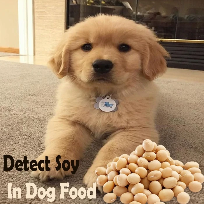 Detect Soy In Dog Food