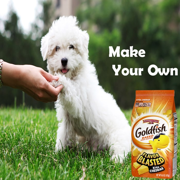 Make Your Own goldfish crackers
