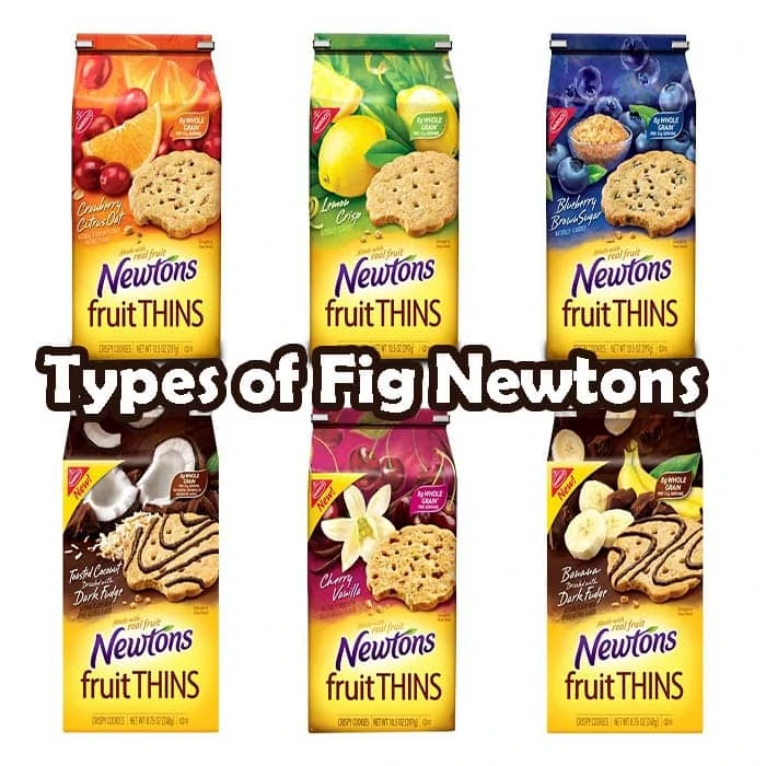 Types of Fig Newtons and possible alternatives for Dogs