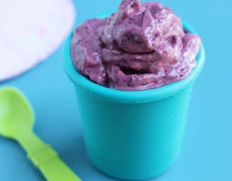Can Dogs Eat Frozen Yogurt? [Interesting Stuff]
