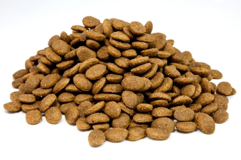 Best Dry Food for Dogs with Sensitive Stomachs