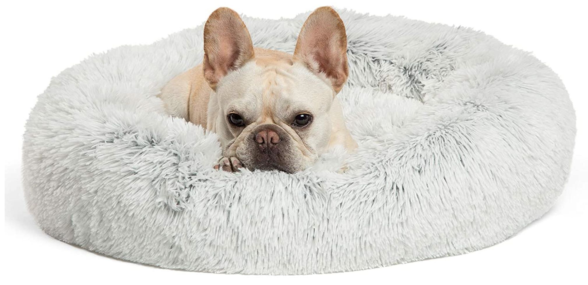 Best Price For Dog Beds Comparison 