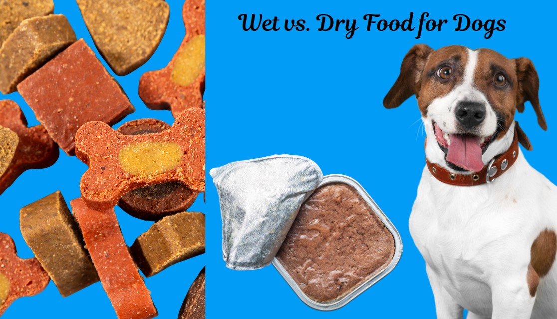 Compare Wet vs. Dry Food for Dogs