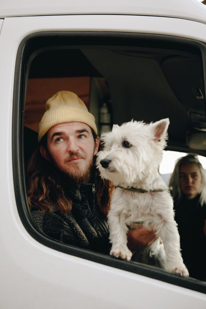 Train Your dog like a Pro The Best Dog Training in Brownsville, TX