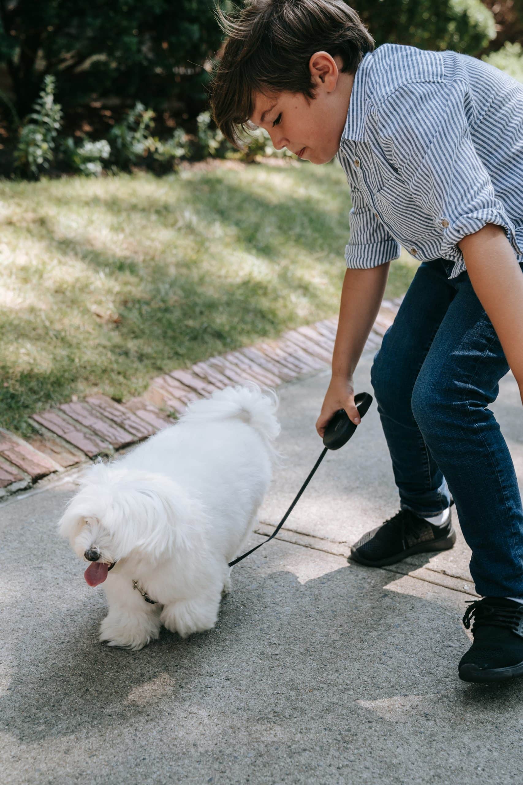 Dog training in Peniel