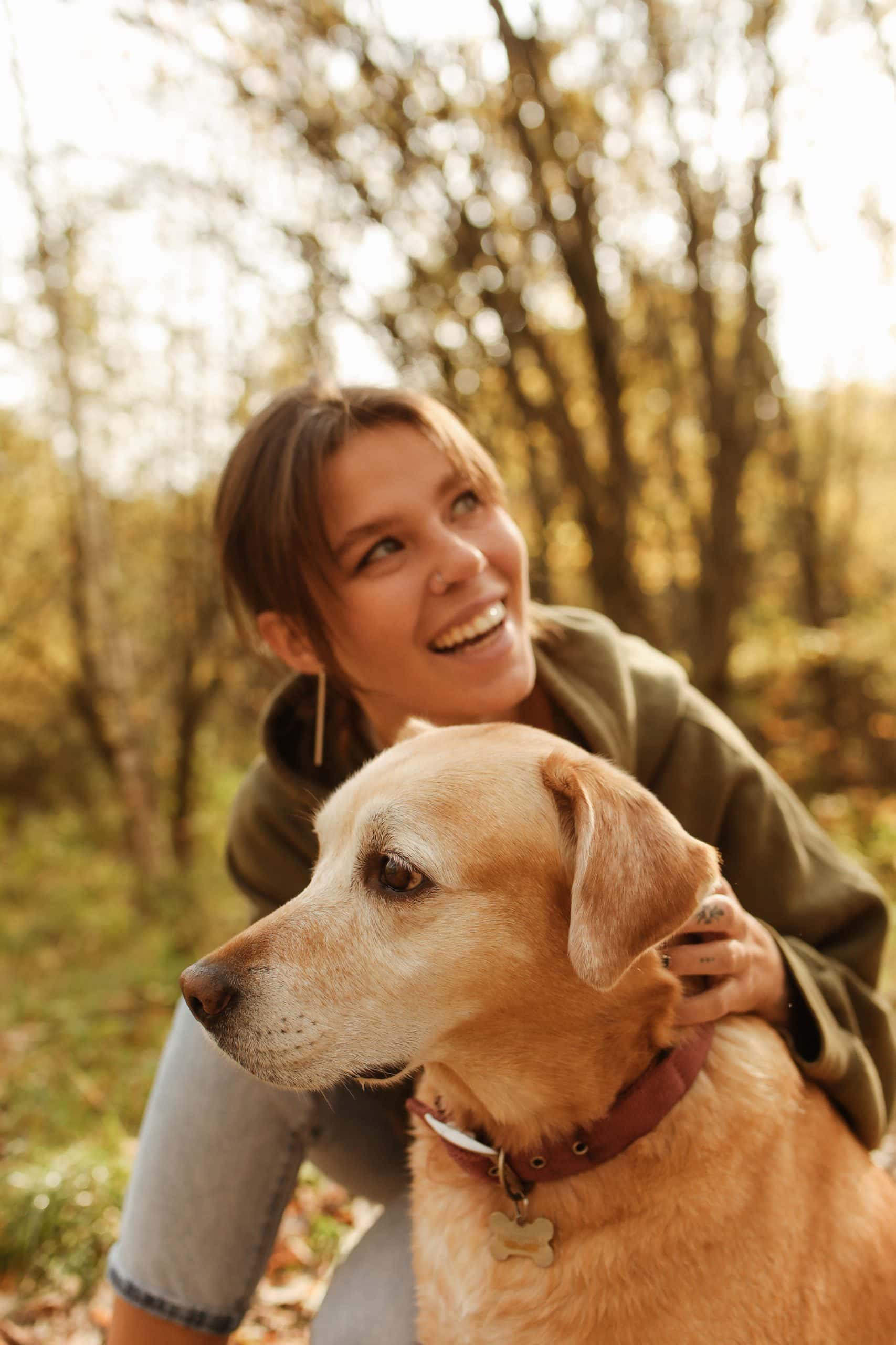 Dog training in Waxahachie